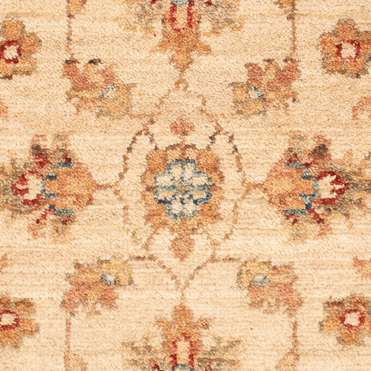 Tapis Ziegler - 71 x 52 cm - beige