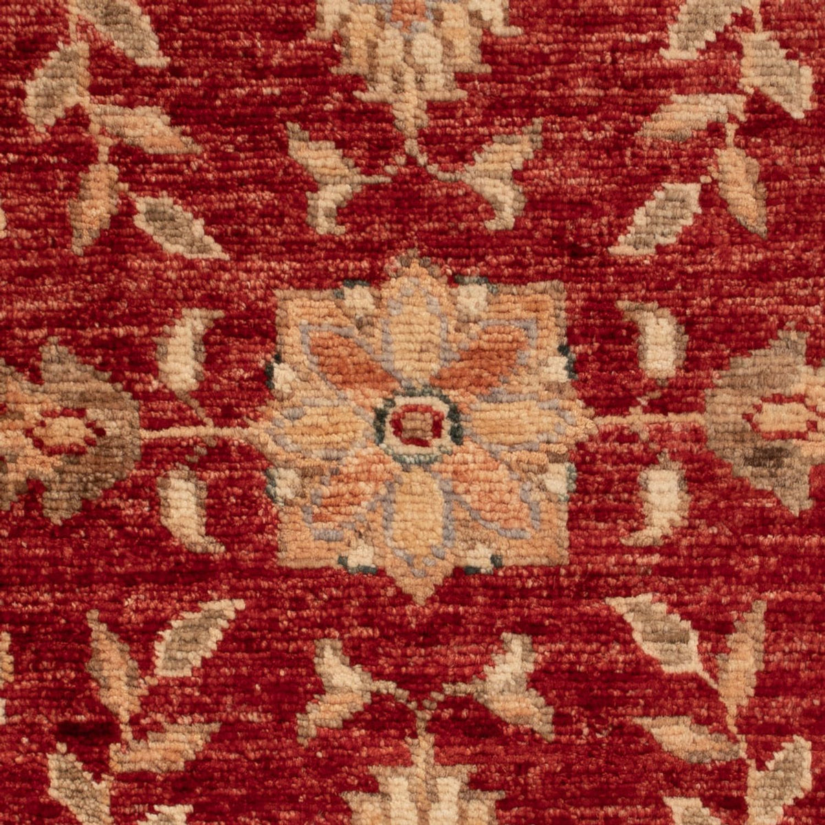 Tapis Ziegler - 66 x 52 cm - rouge