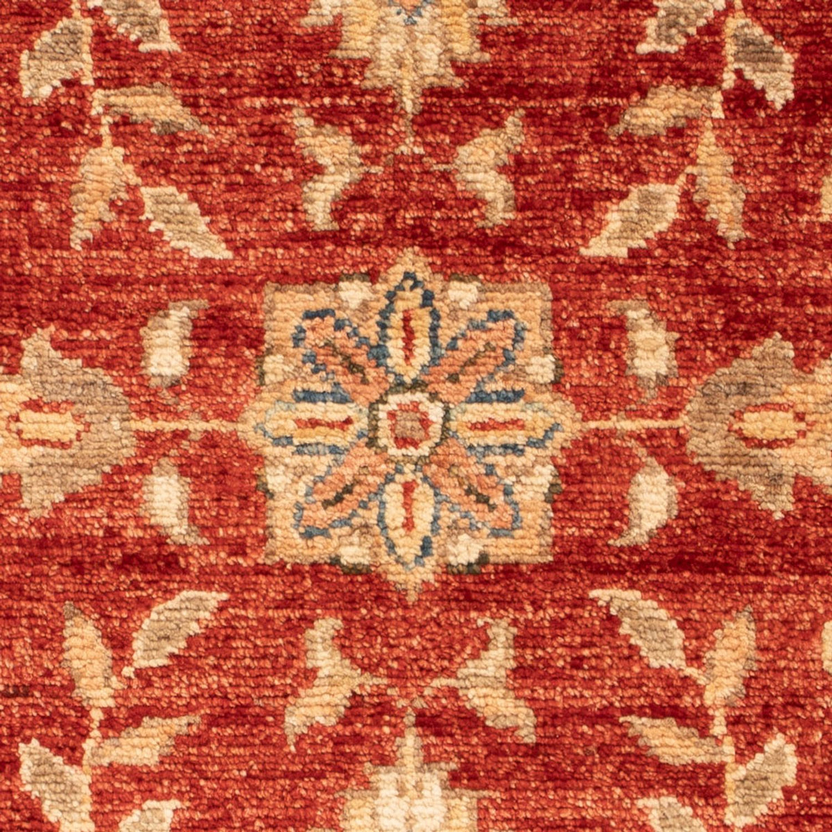 Tapis Ziegler - 68 x 53 cm - rouge
