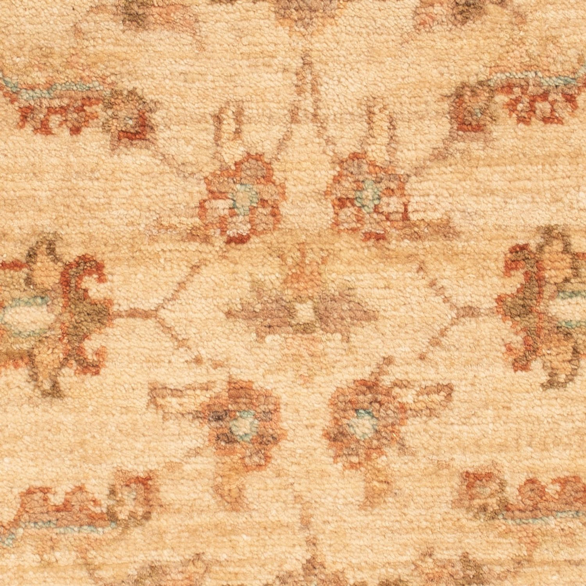 Tapis Ziegler - 69 x 53 cm - beige