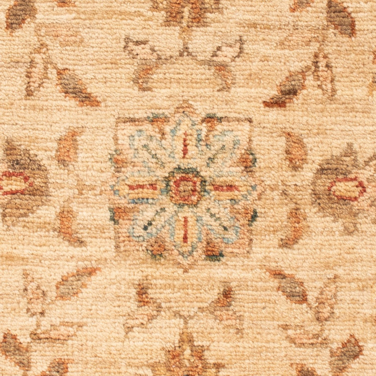 Tapis Ziegler - 70 x 51 cm - beige
