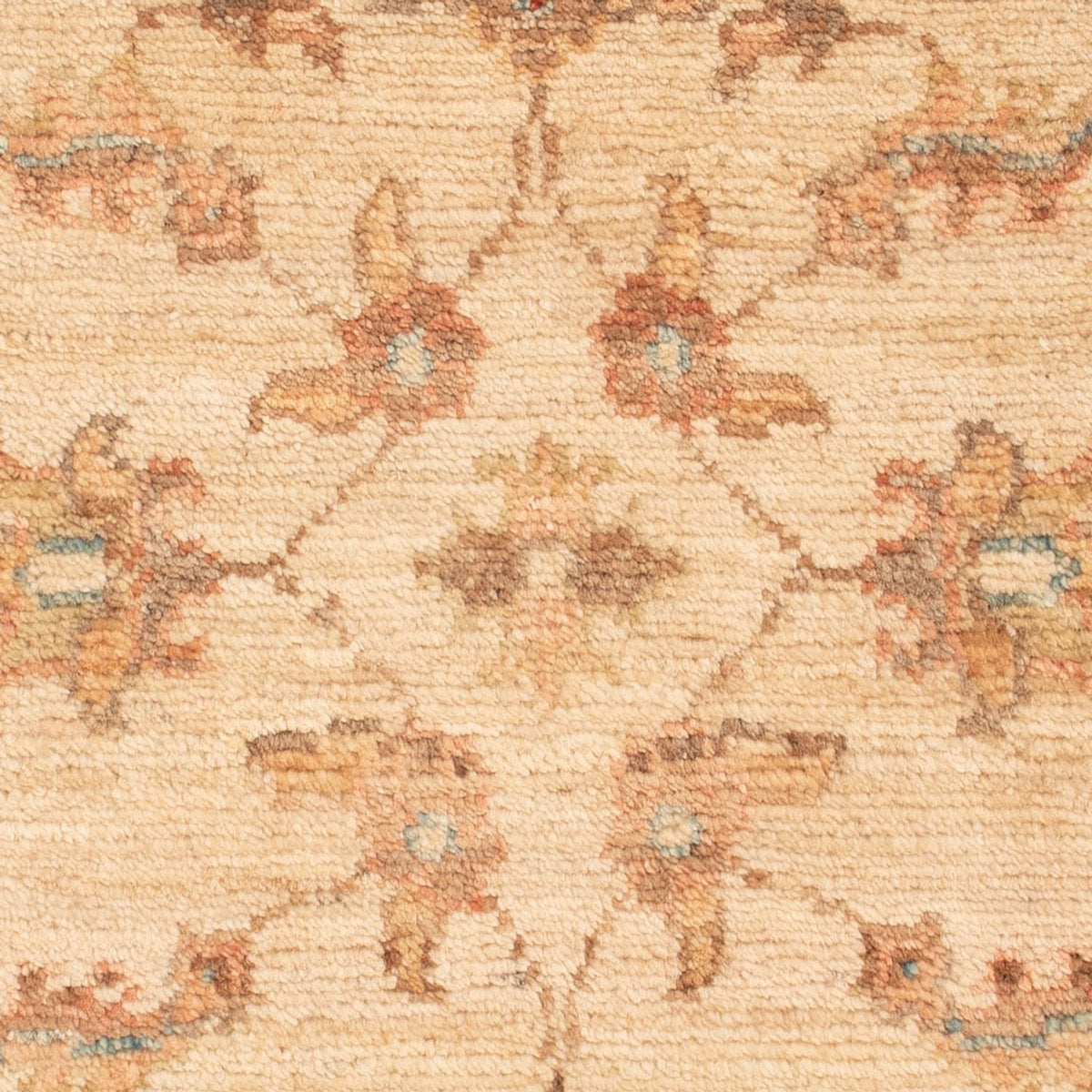 Tapis Ziegler - 69 x 50 cm - beige