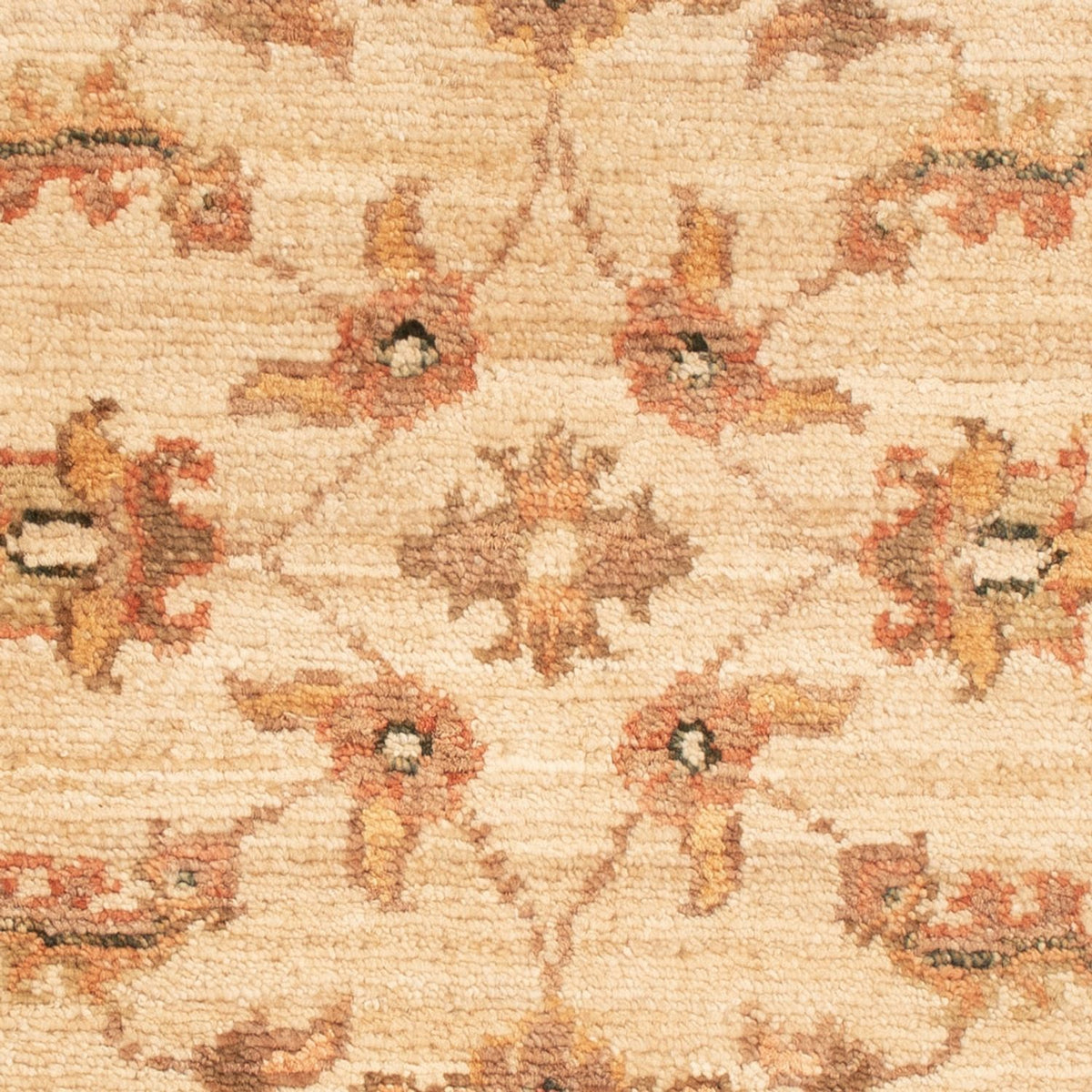 Tapis Ziegler - 66 x 50 cm - beige
