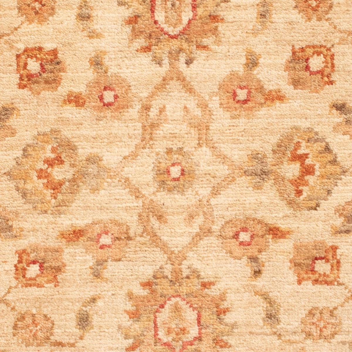 Tapis Ziegler - 88 x 60 cm - beige
