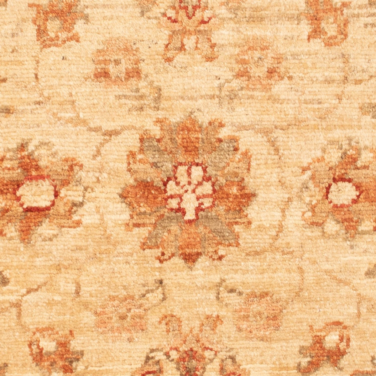 Tapis Ziegler - 90 x 61 cm - beige