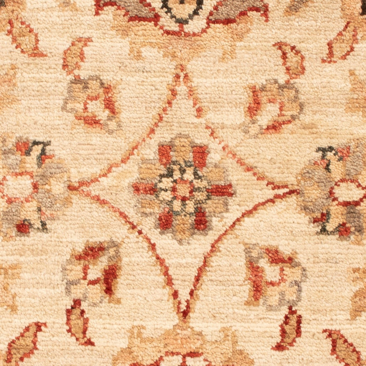 Tapis Ziegler - 69 x 53 cm - beige