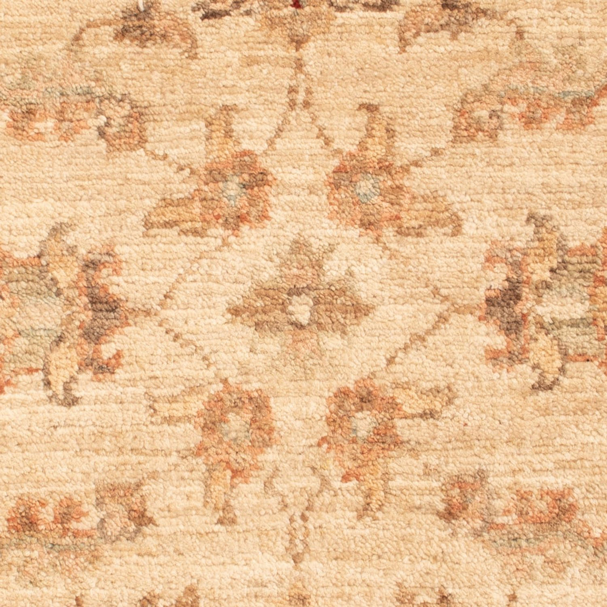 Tapis Ziegler - 70 x 51 cm - beige