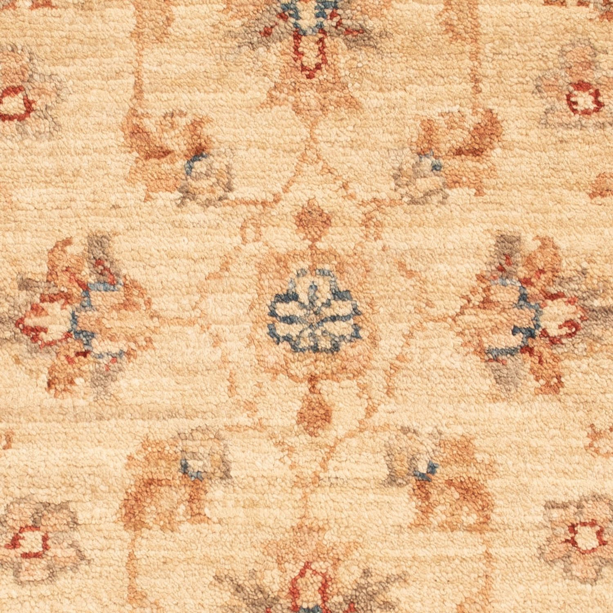 Tapis Ziegler - 69 x 52 cm - beige