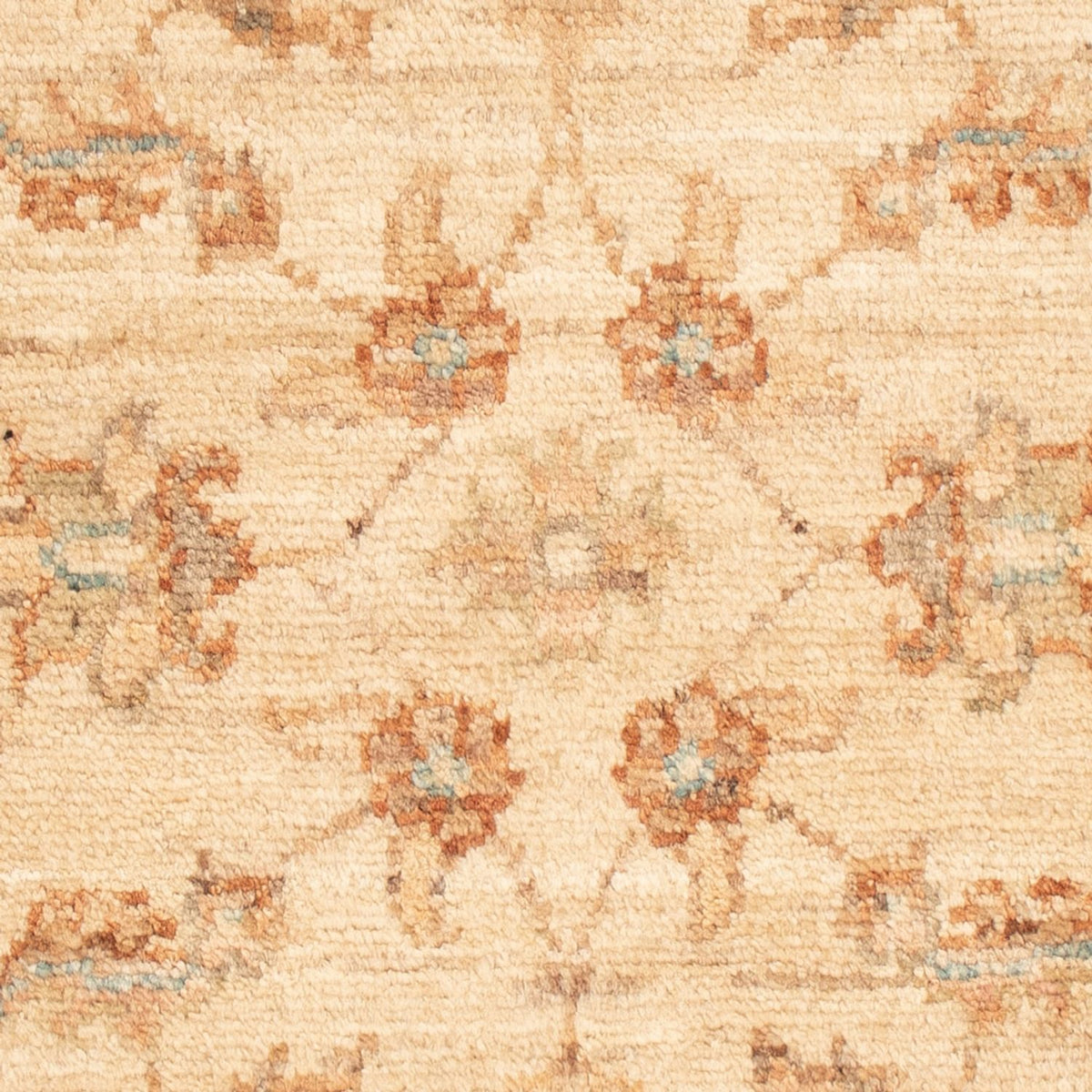 Tapis Ziegler - 69 x 50 cm - beige