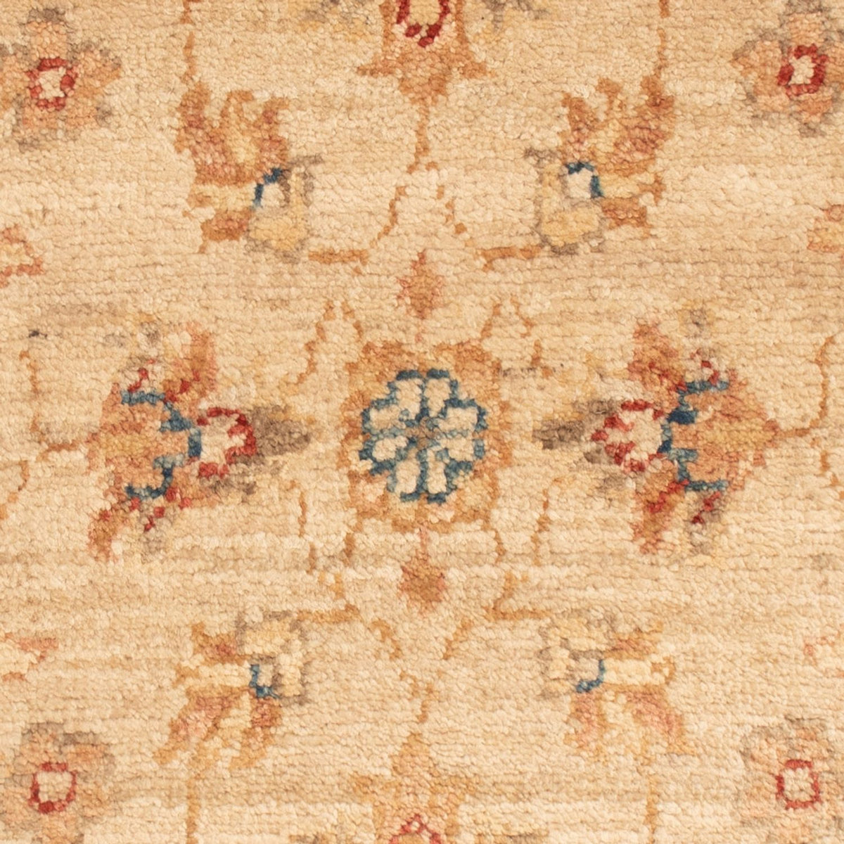 Tapis Ziegler - 76 x 50 cm - beige