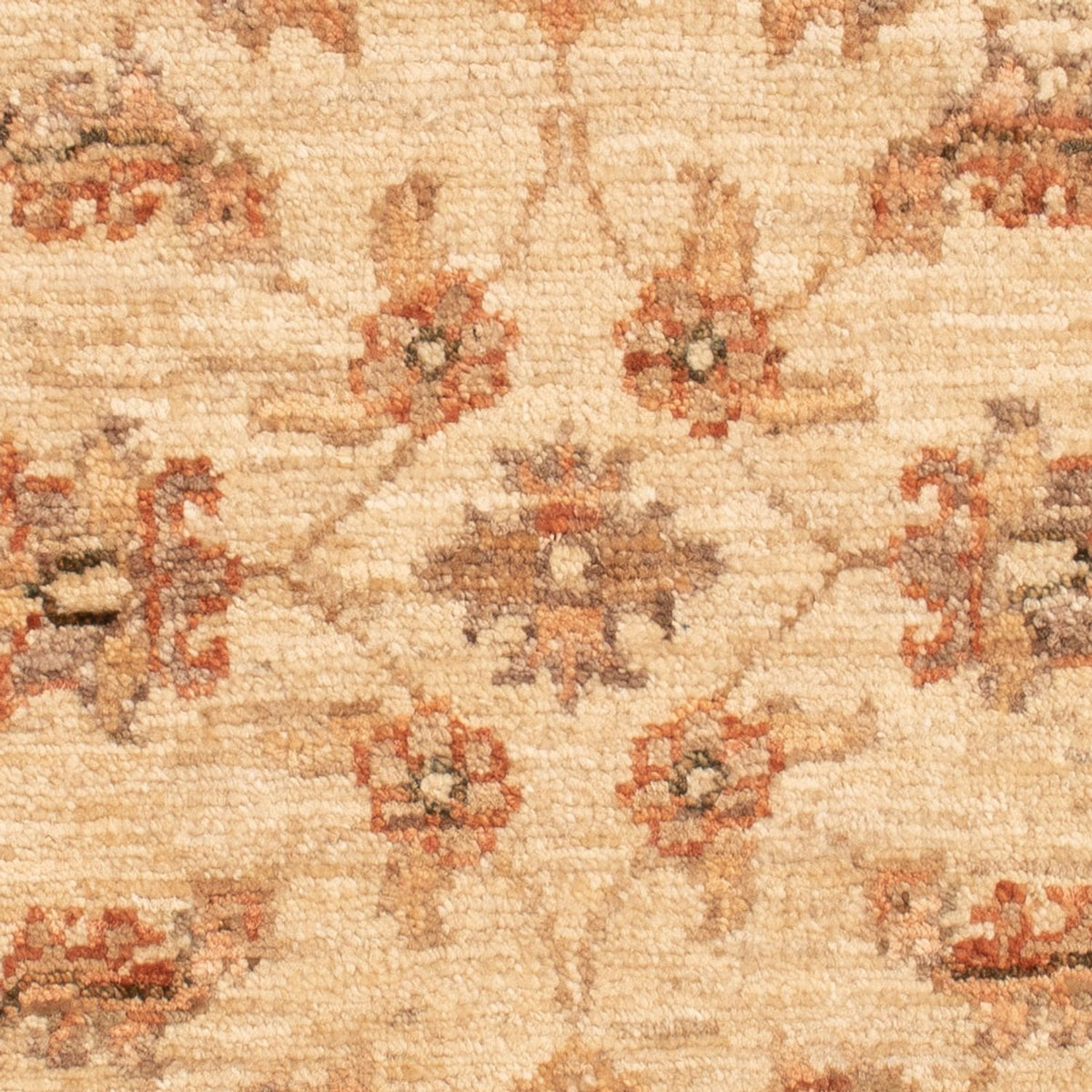 Tapis Ziegler - 72 x 54 cm - beige