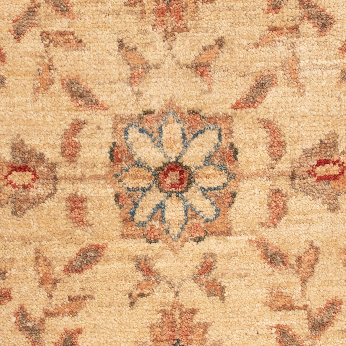 Tapis Ziegler - 69 x 53 cm - beige