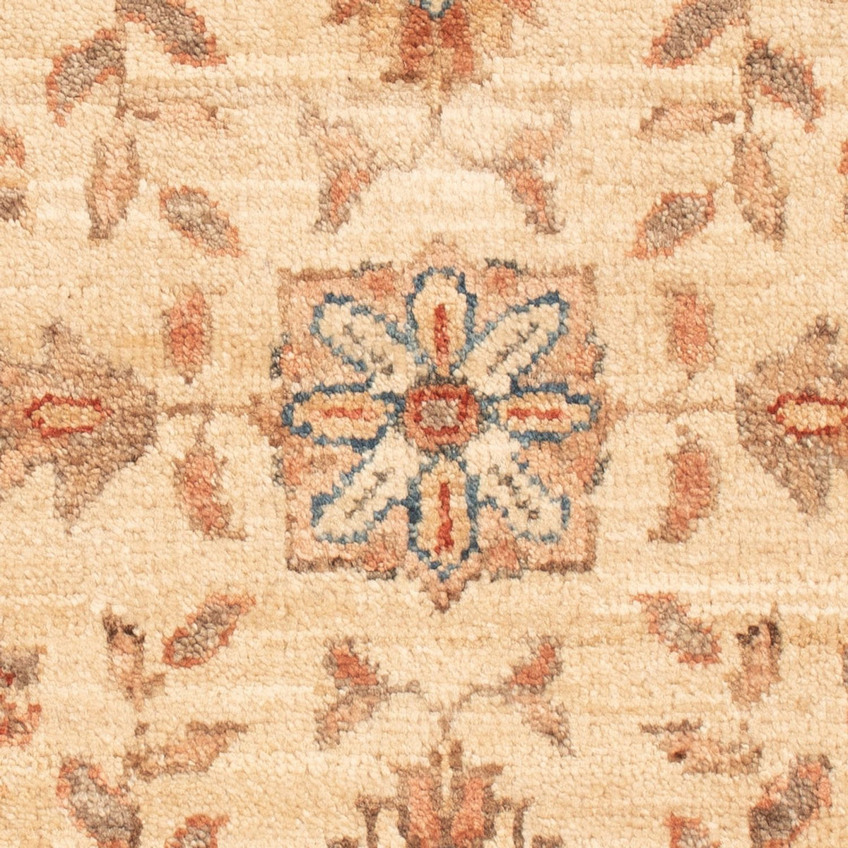 Tapis Ziegler - 70 x 51 cm - beige