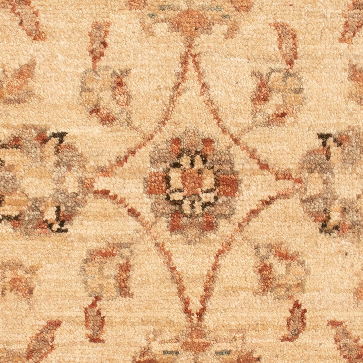 Tapis Ziegler - 73 x 51 cm - beige