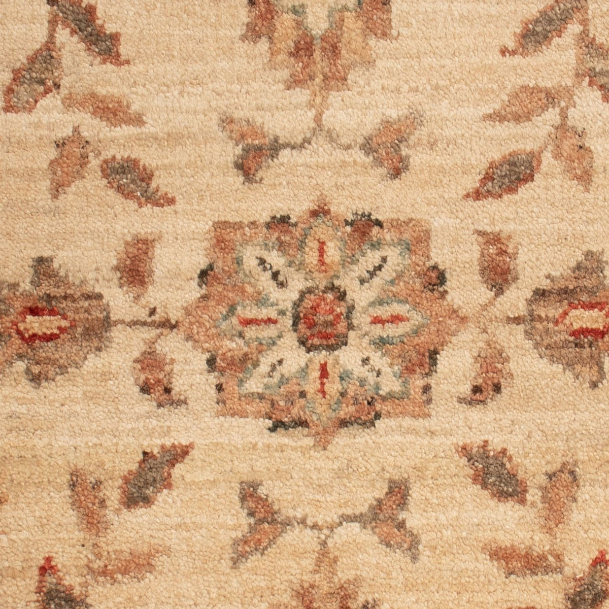 Tapis Ziegler - 70 x 50 cm - beige