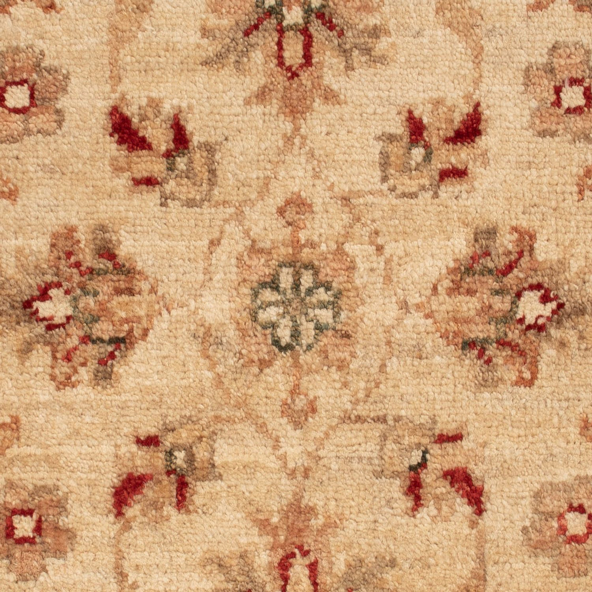 Tapis Ziegler - 70 x 51 cm - beige