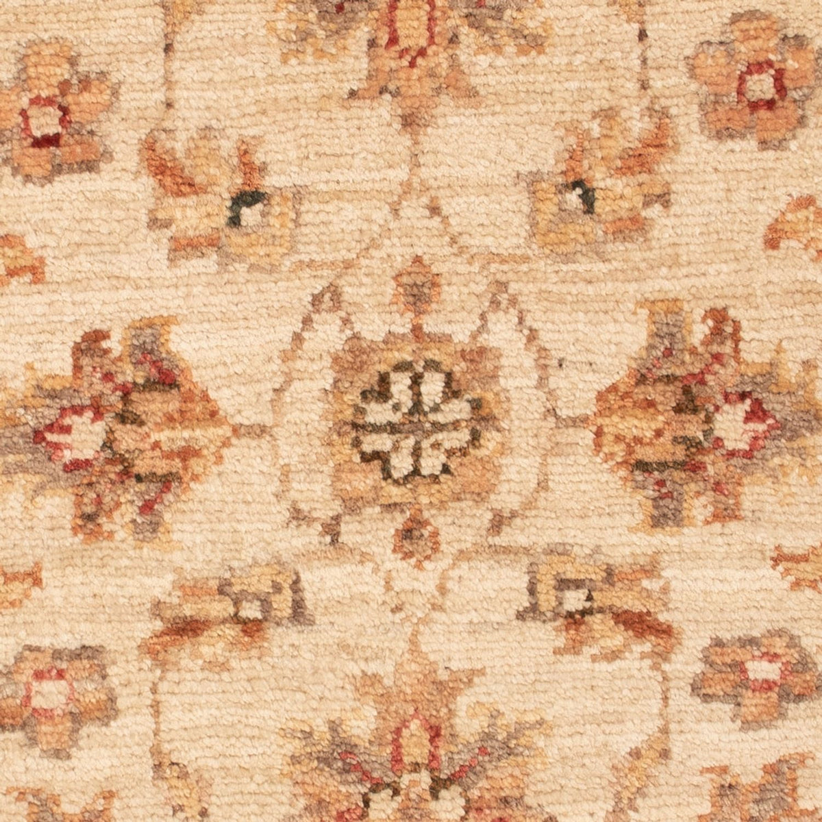 Tapis Ziegler - 70 x 52 cm - beige