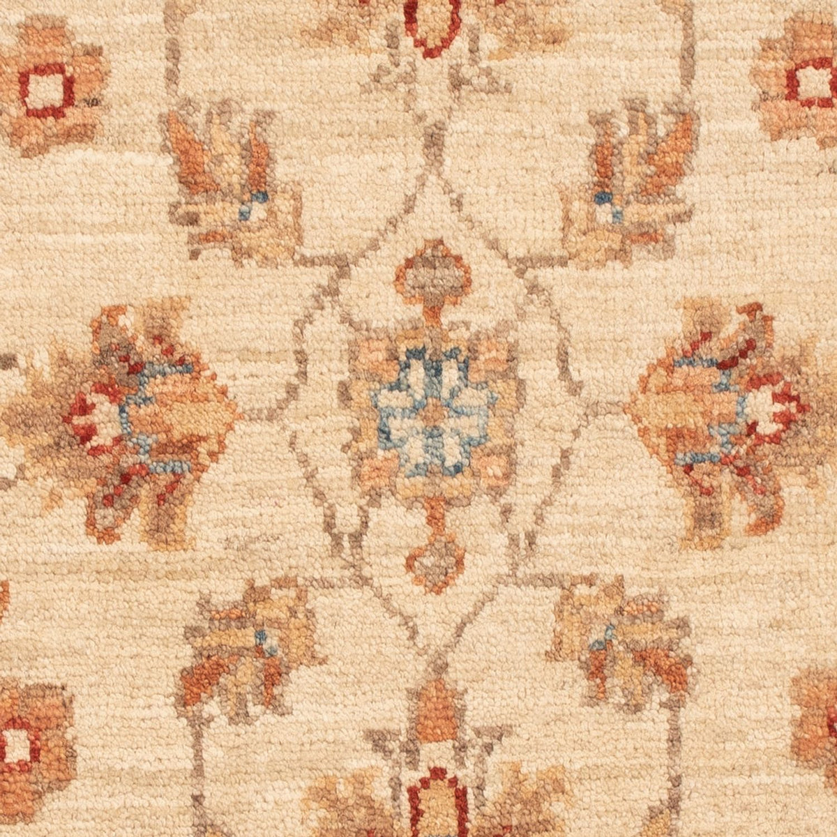 Tapis Ziegler - 70 x 51 cm - beige