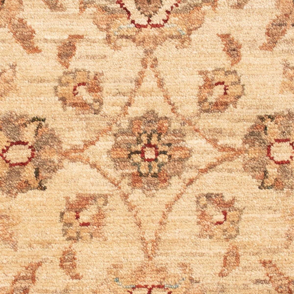 Tapis Ziegler - 72 x 50 cm - beige