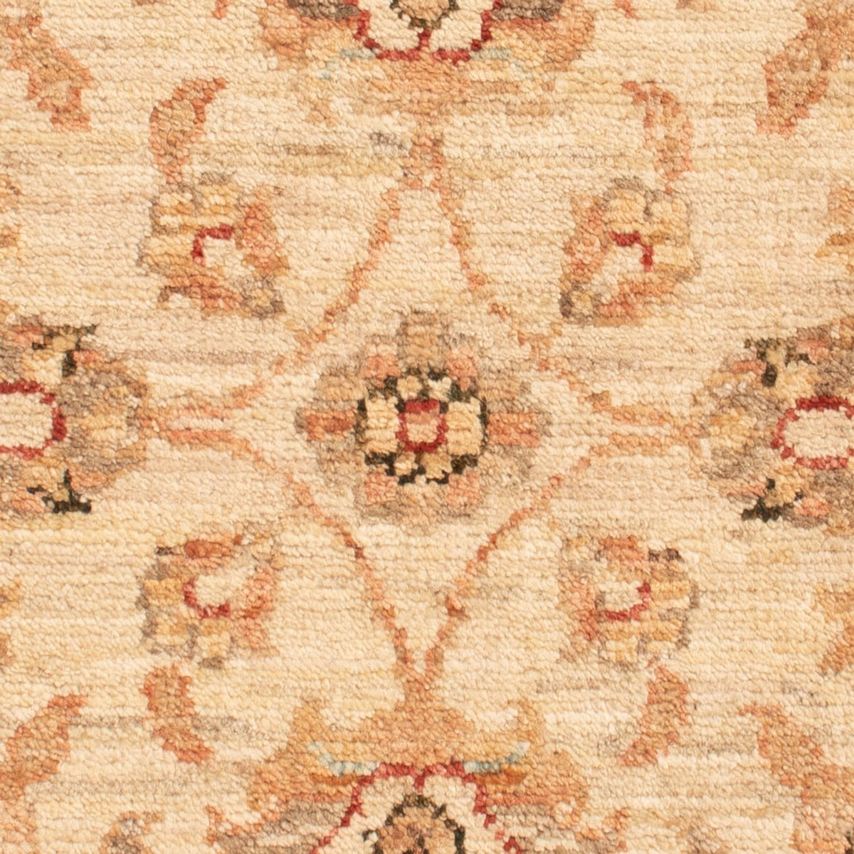 Tapis Ziegler - 71 x 50 cm - beige