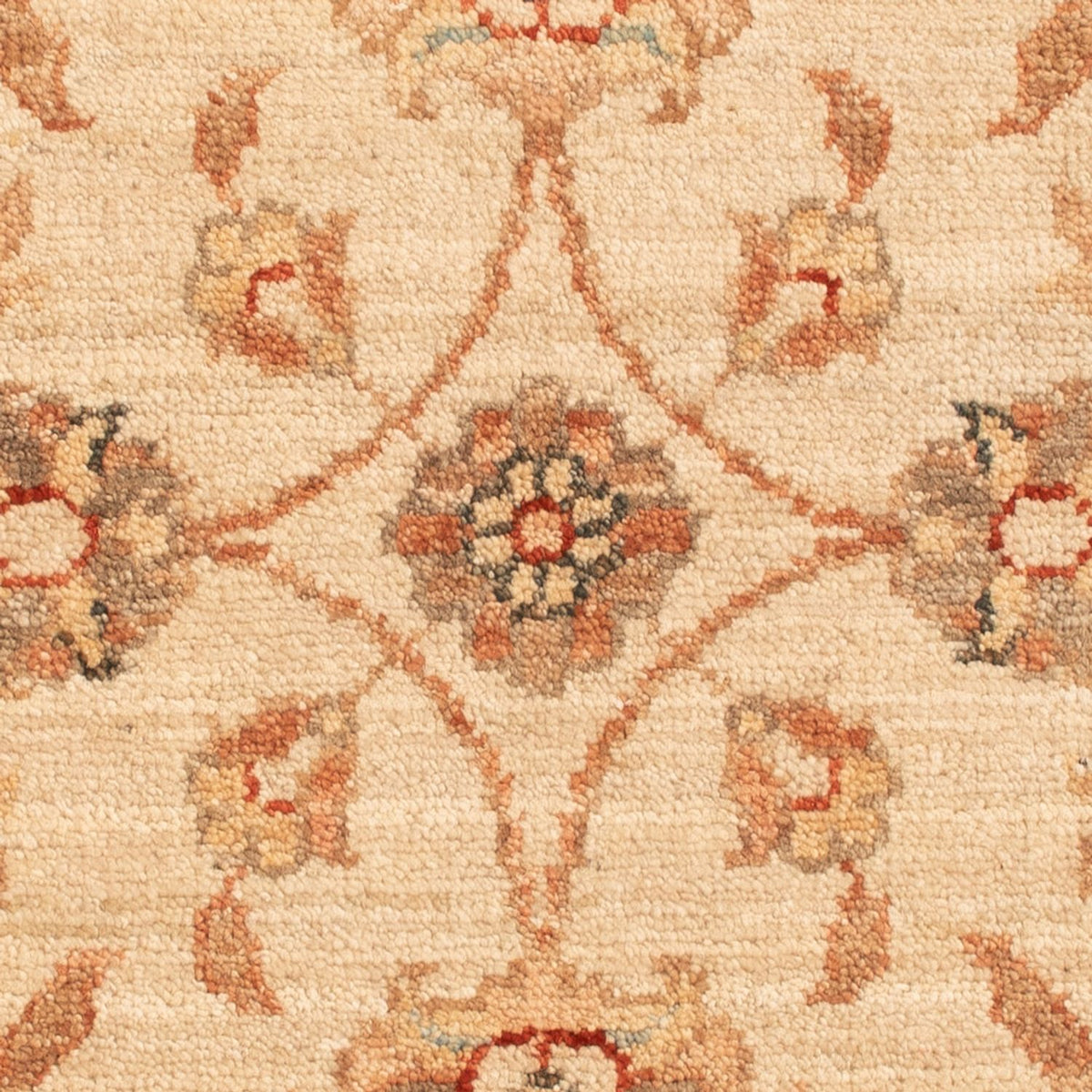 Tapis Ziegler - 70 x 48 cm - beige