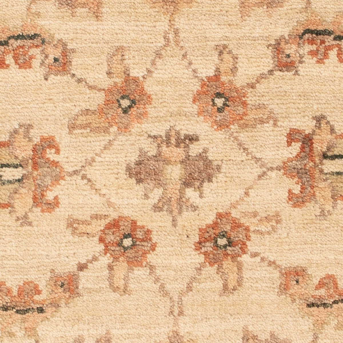 Tapis Ziegler - 68 x 50 cm - beige