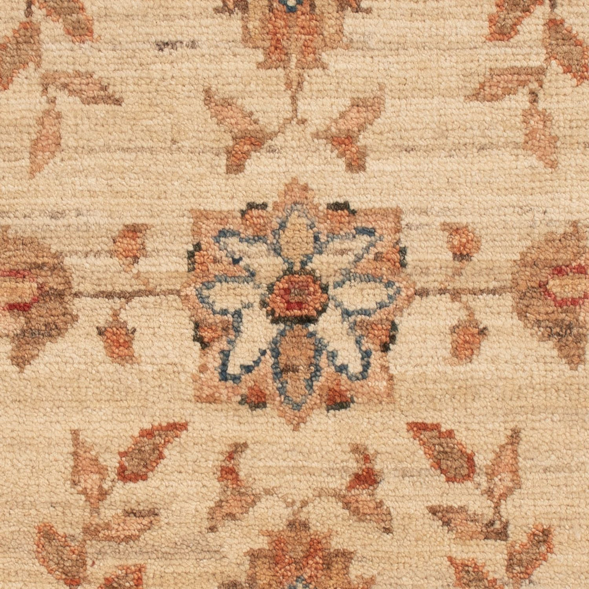Tapis Ziegler - 73 x 54 cm - beige