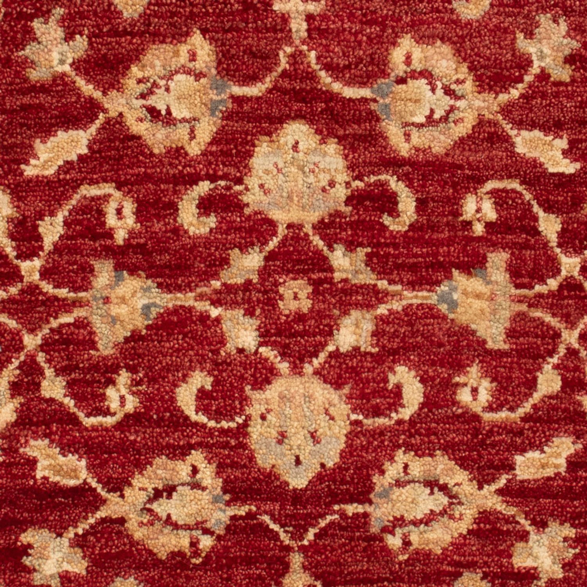 Tapis Ziegler - 90 x 60 cm - rouge bordeaux