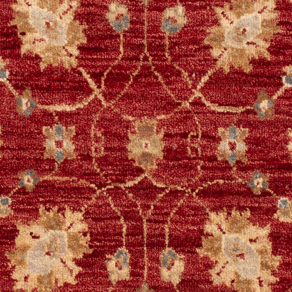 Tapis Ziegler - 90 x 60 cm - rouge bordeaux