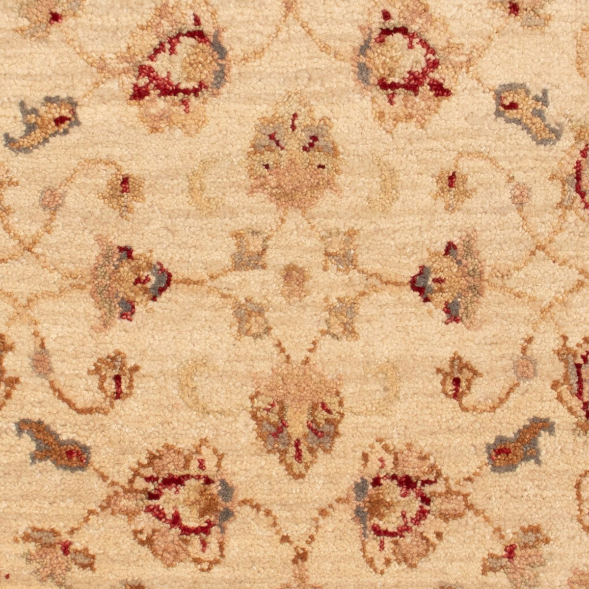 Tapis Ziegler - 90 x 60 cm - beige