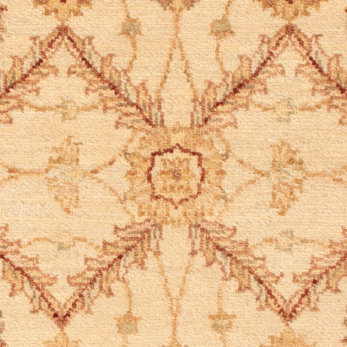 Tapis Ziegler - 90 x 60 cm - beige