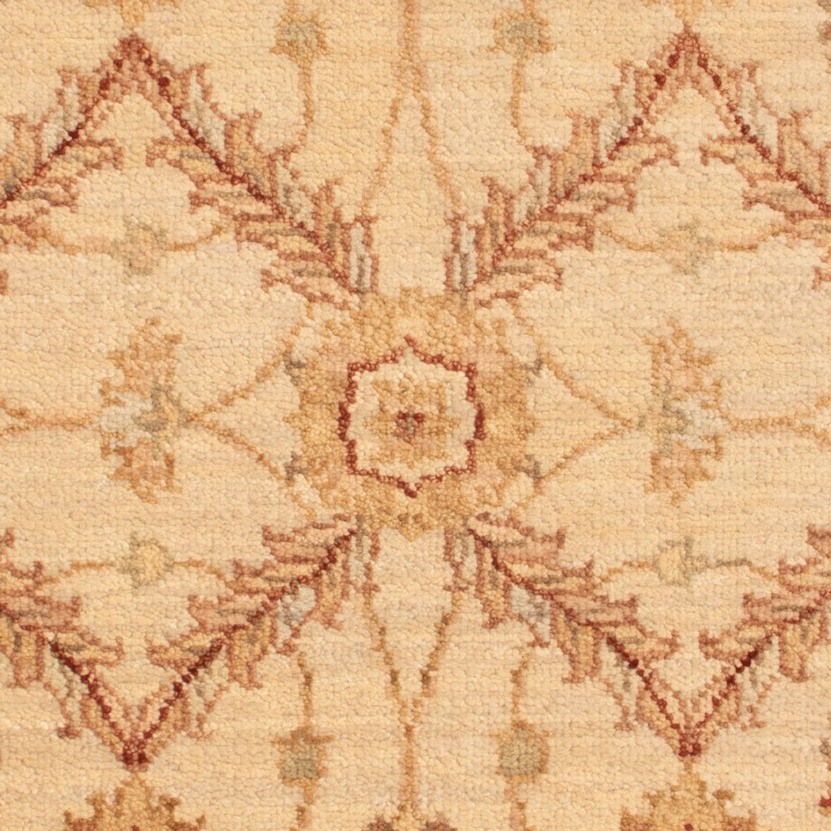 Tapis Ziegler - 90 x 60 cm - beige