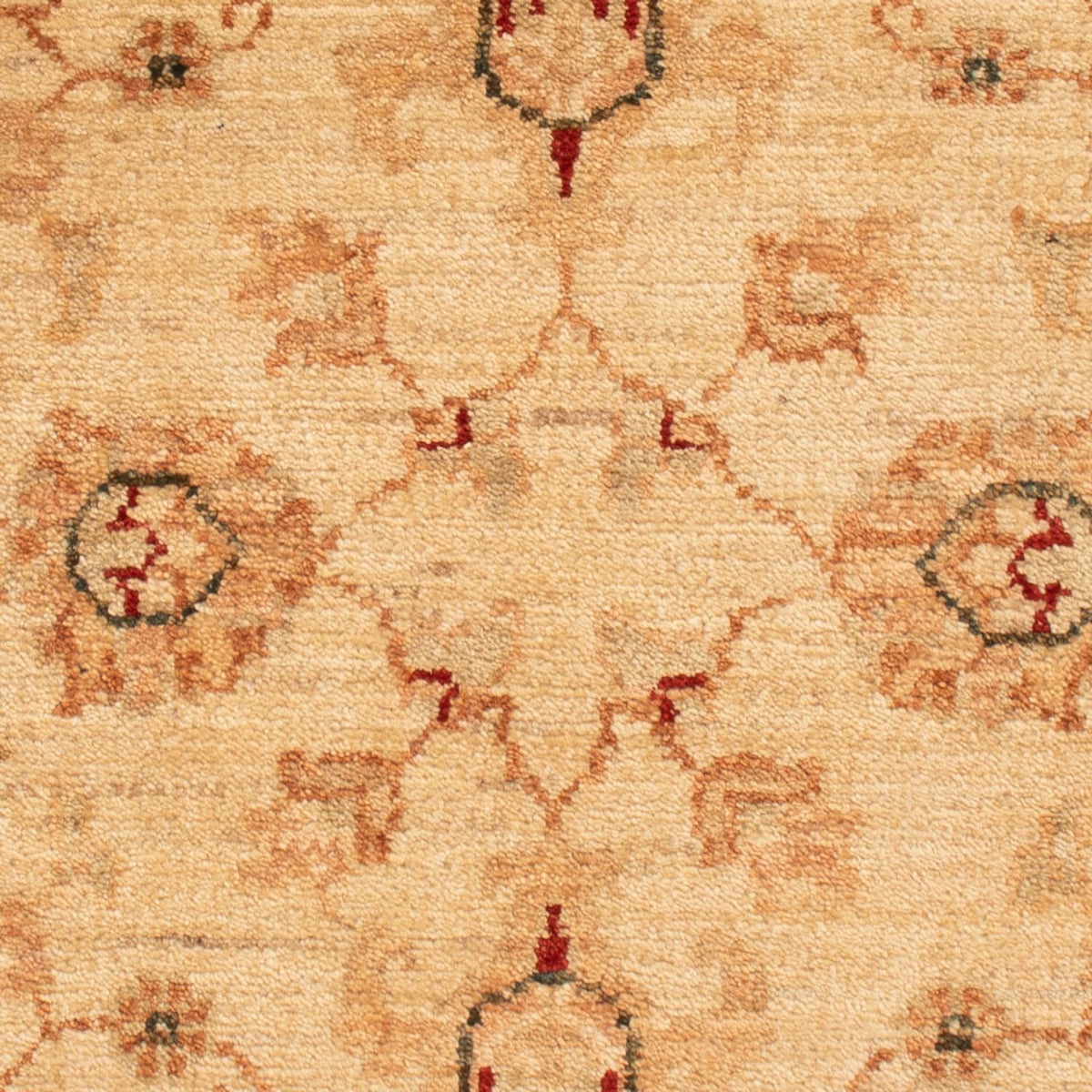 Tapis Ziegler - 91 x 63 cm - beige