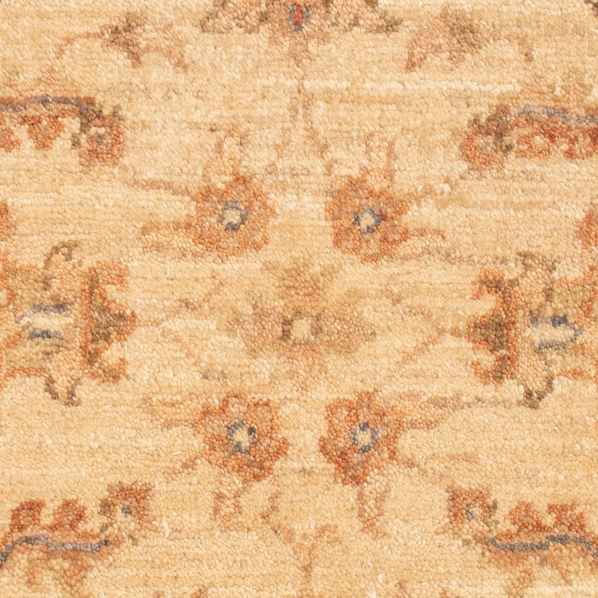 Tapis Ziegler - 63 x 49 cm - beige