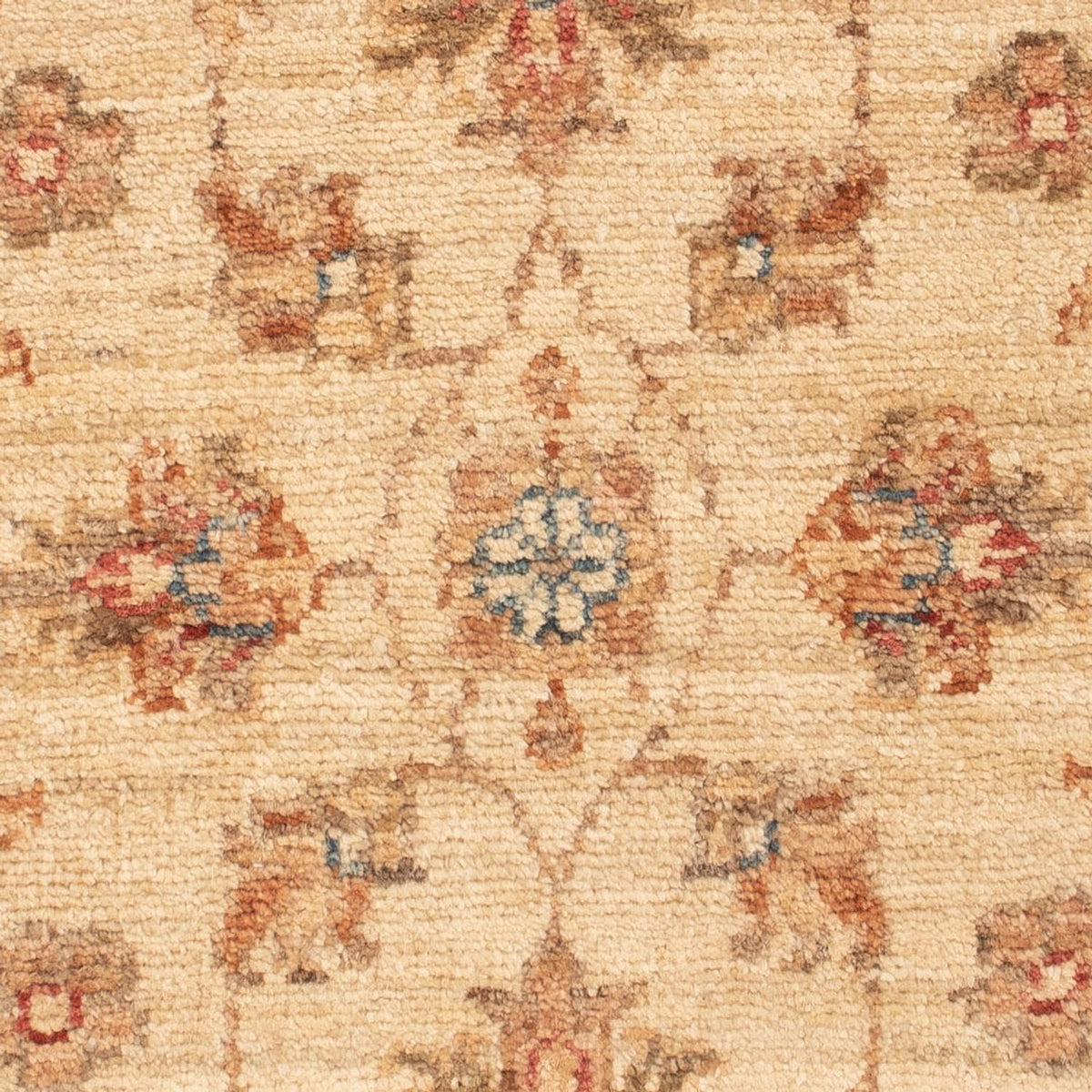 Tapis Ziegler - 72 x 51 cm - beige