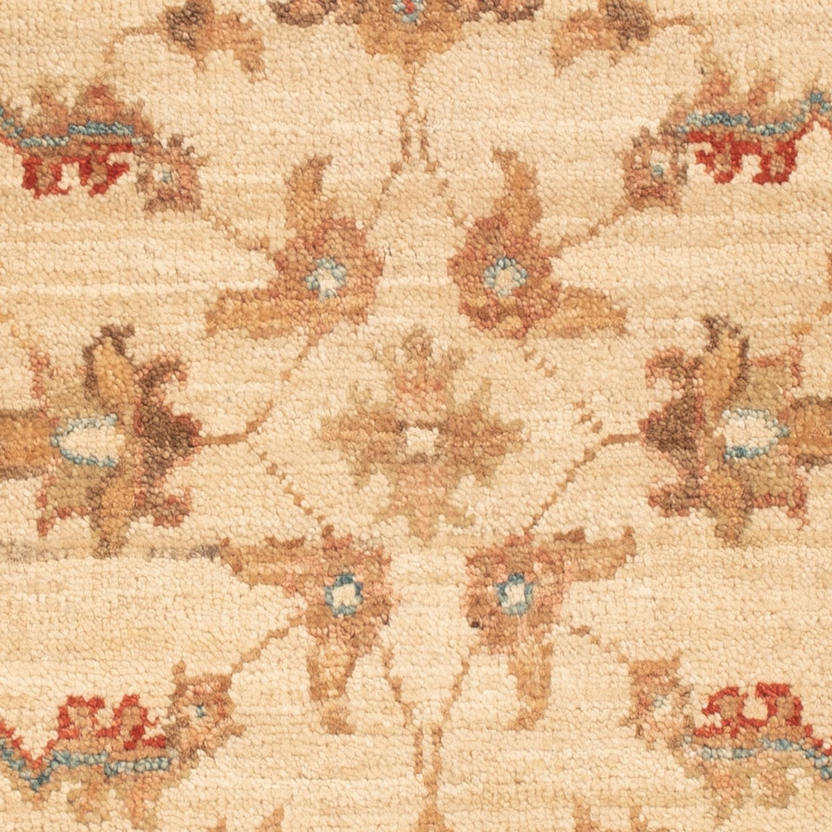 Tapis Ziegler - 66 x 50 cm - beige