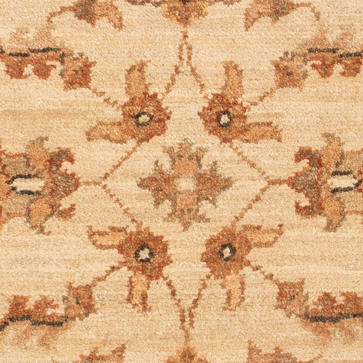 Tapis Ziegler - 70 x 52 cm - beige