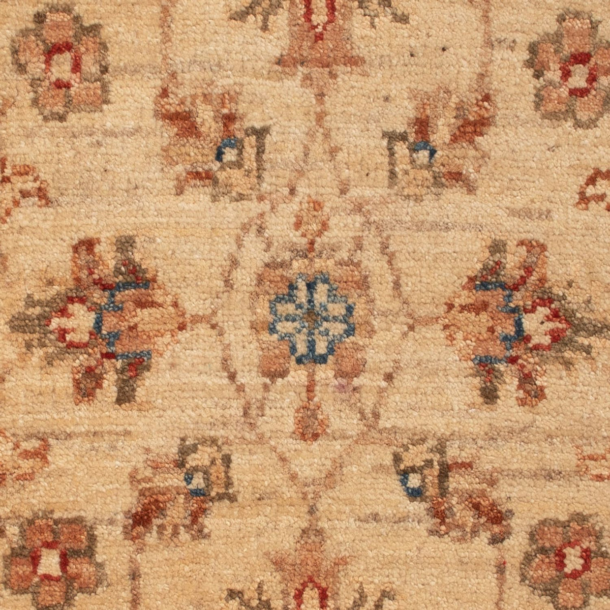 Tapis Ziegler - 68 x 48 cm - beige