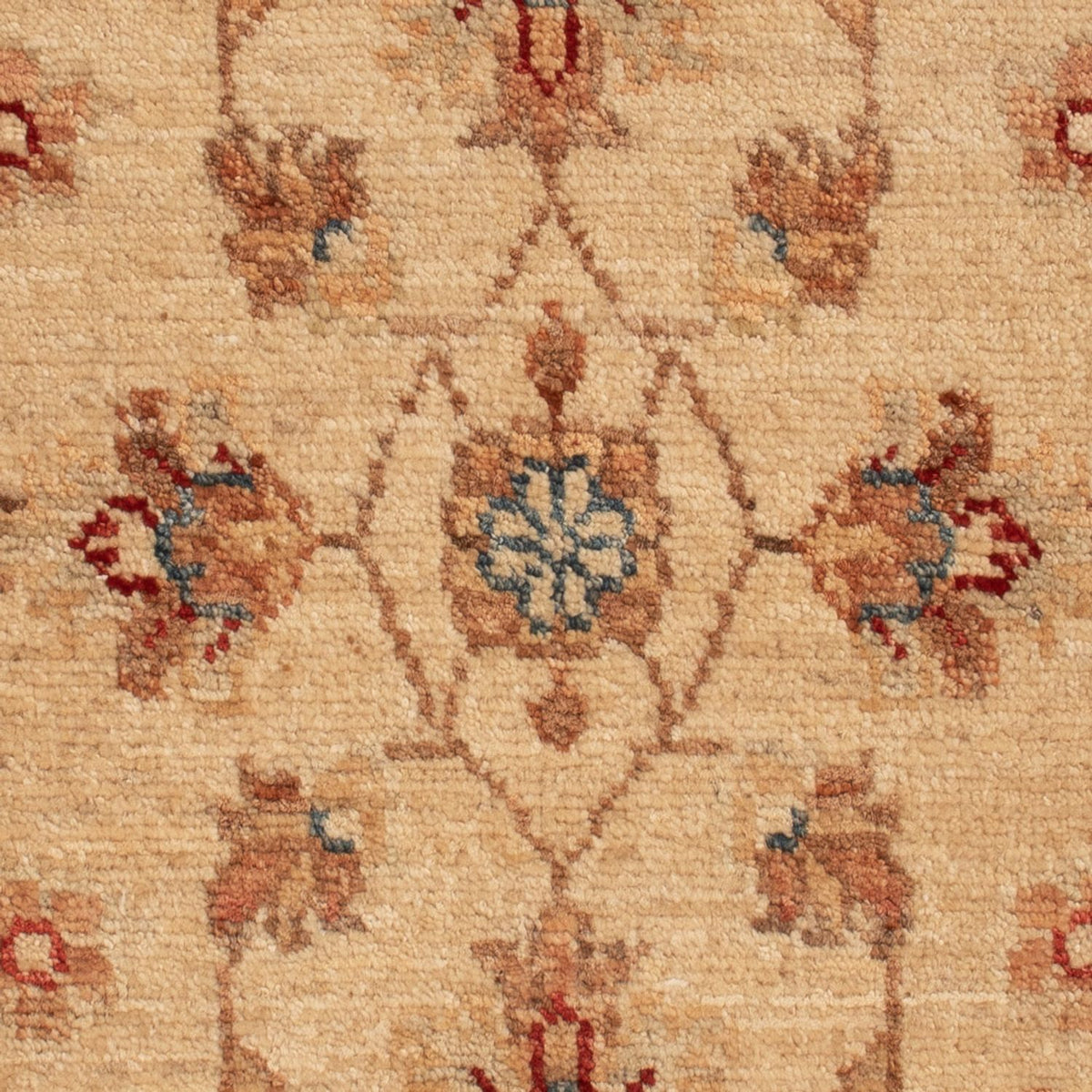 Tapis Ziegler - 70 x 51 cm - beige
