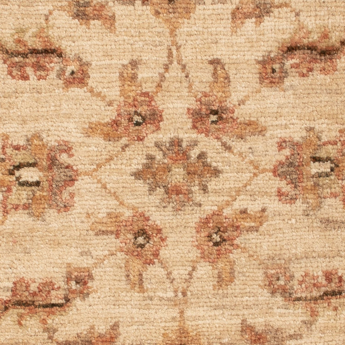 Tapis Ziegler - 70 x 50 cm - beige
