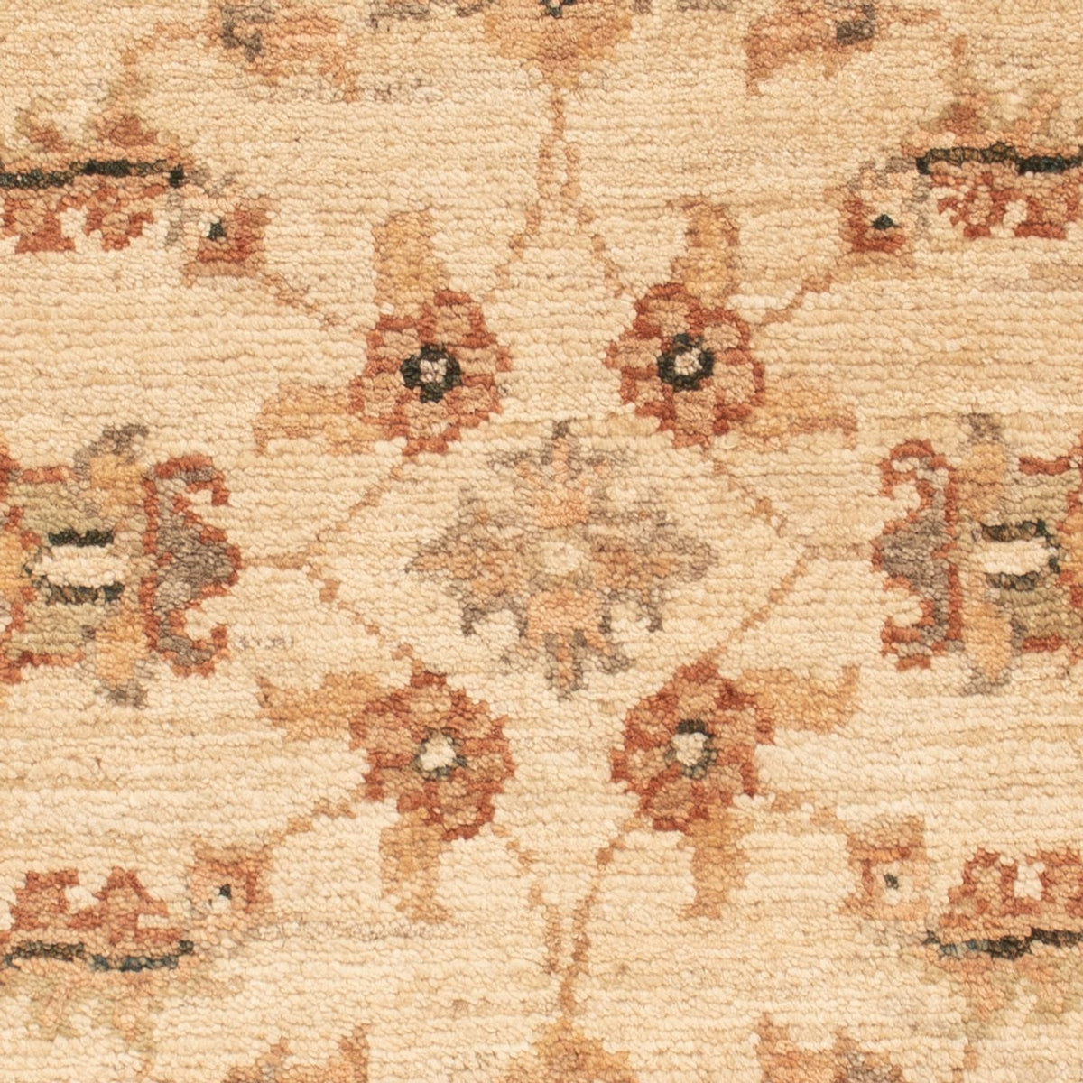 Tapis Ziegler - 71 x 51 cm - beige