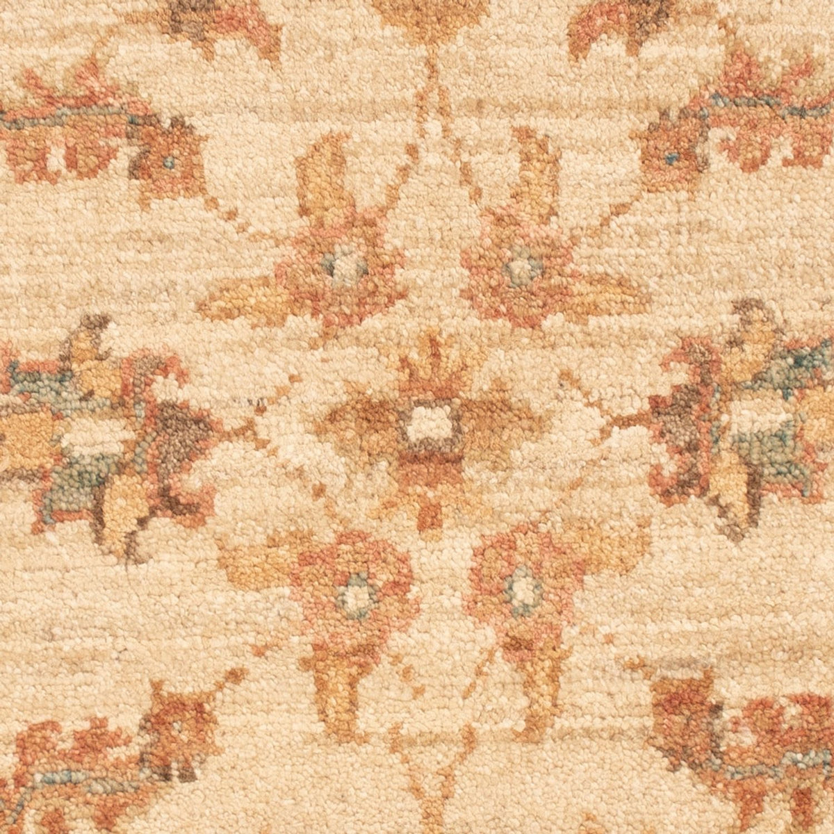 Tapis Ziegler - 70 x 52 cm - beige