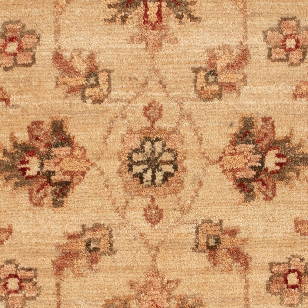 Tapis Ziegler - 70 x 50 cm - beige
