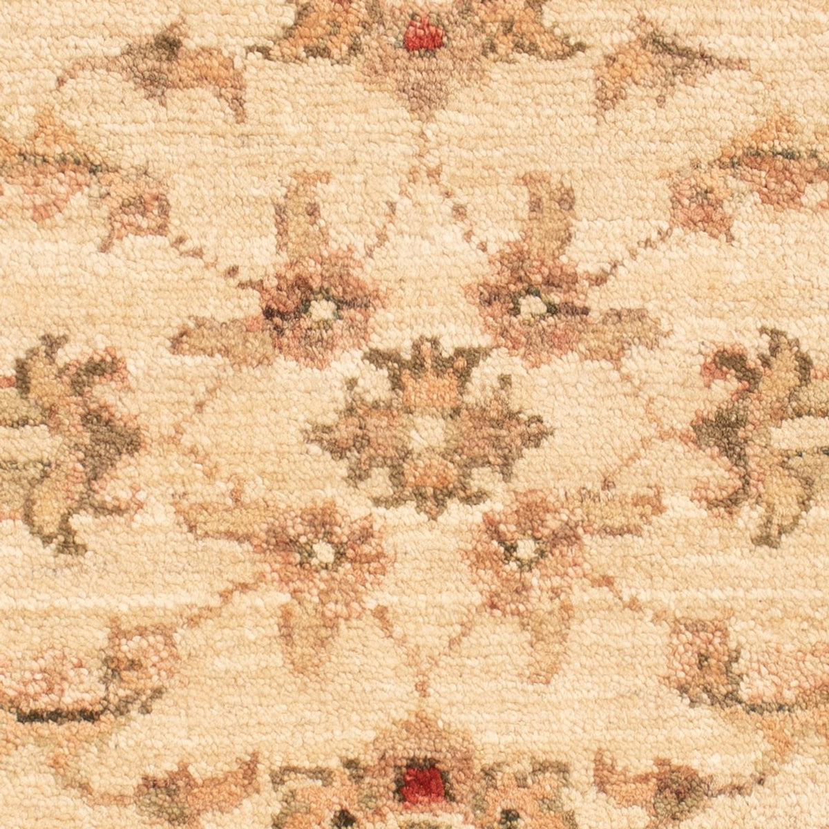 Tapis Ziegler - 67 x 52 cm - beige