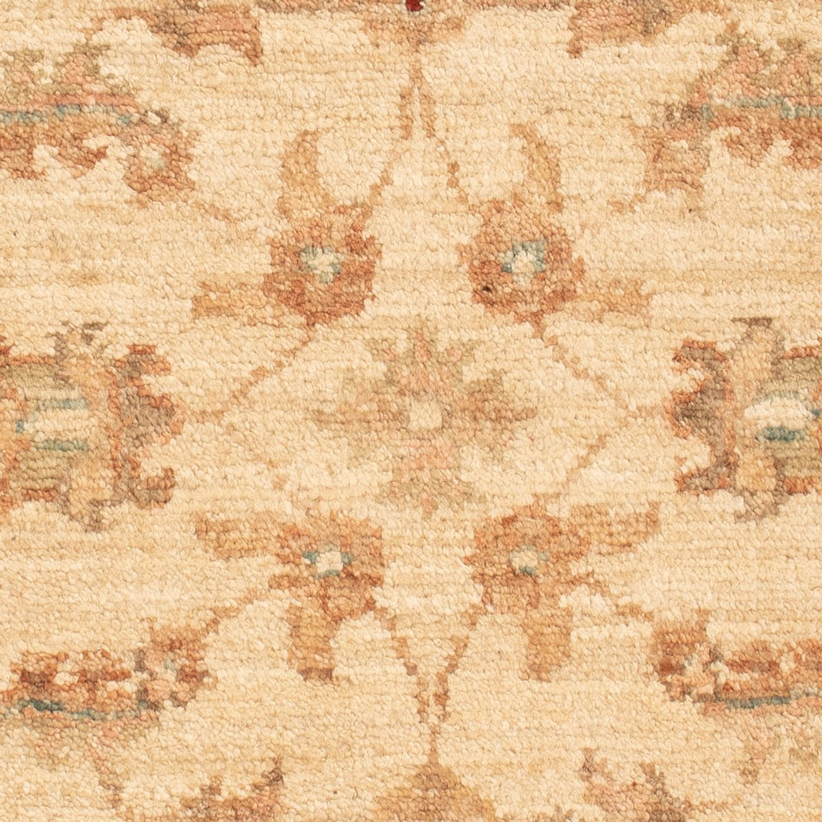Tapis Ziegler - 70 x 50 cm - beige