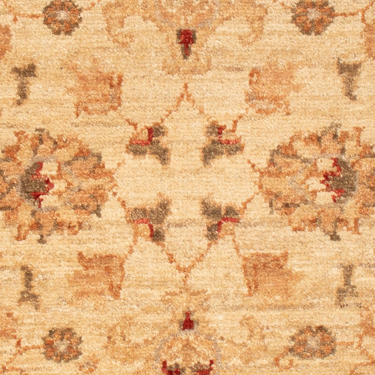 Tapis Ziegler - 90 x 61 cm - beige