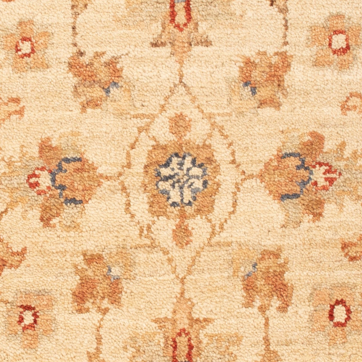 Tapis Ziegler - 78 x 53 cm - beige