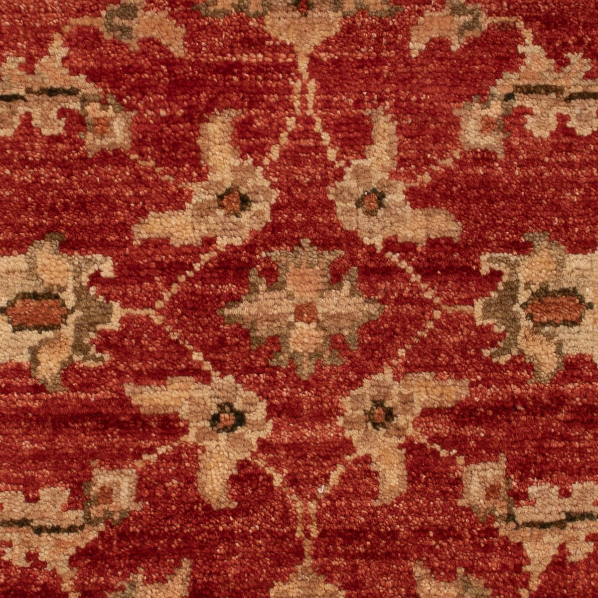 Tapis Ziegler - 67 x 49 cm - rouge