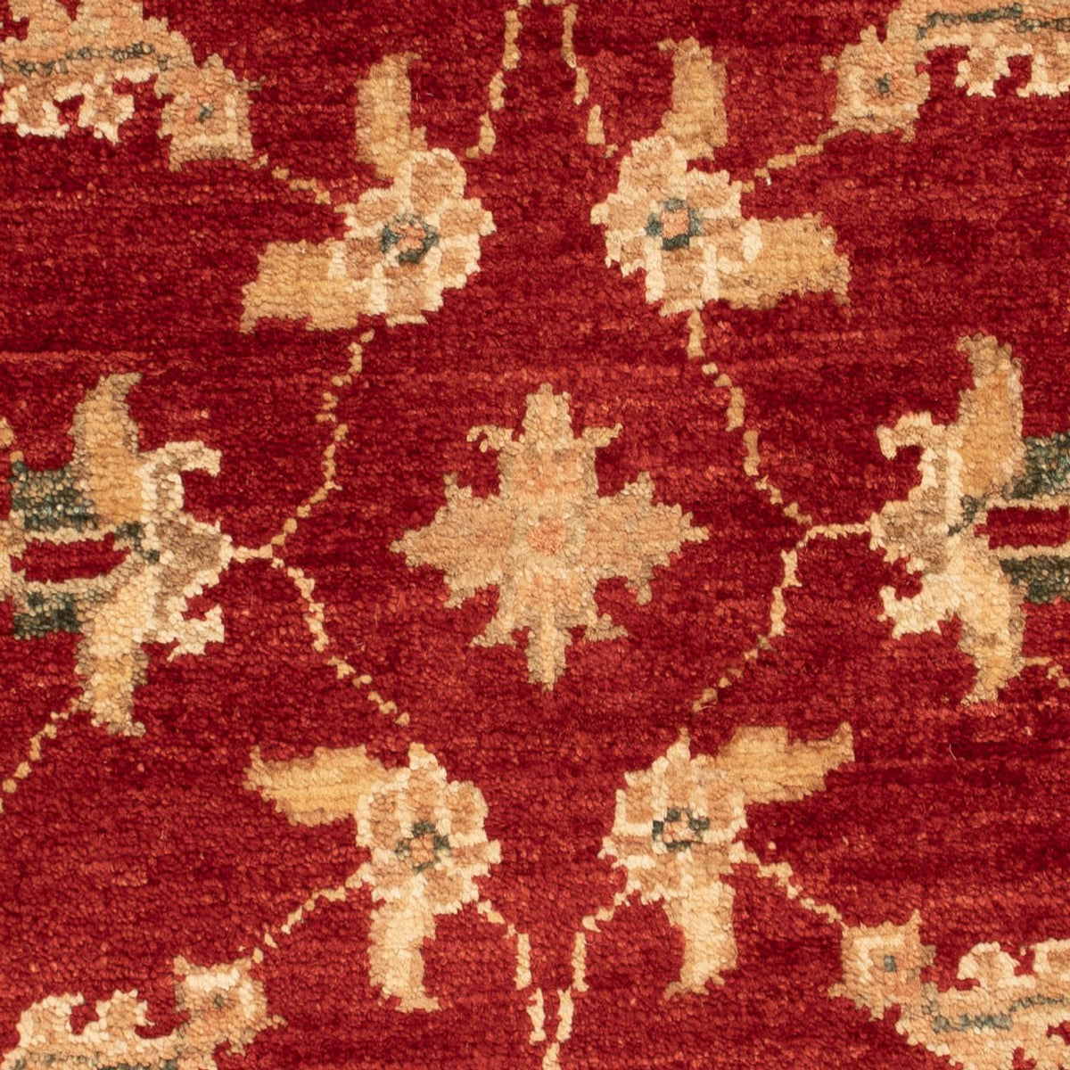 Tapis Ziegler - 71 x 52 cm - rouge