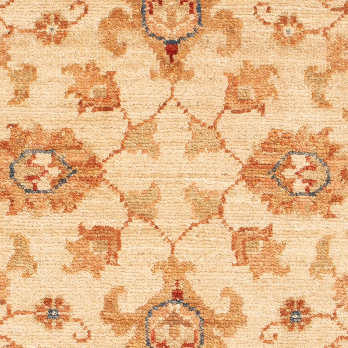 Tapis Ziegler - 86 x 62 cm - beige